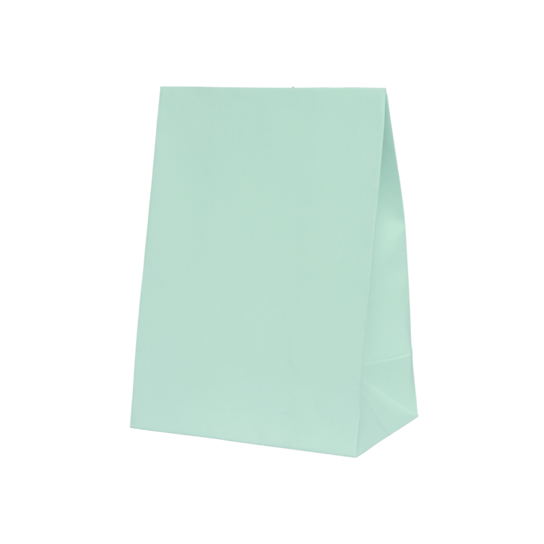 Mint Green Paper Party Bags - Pack of 10