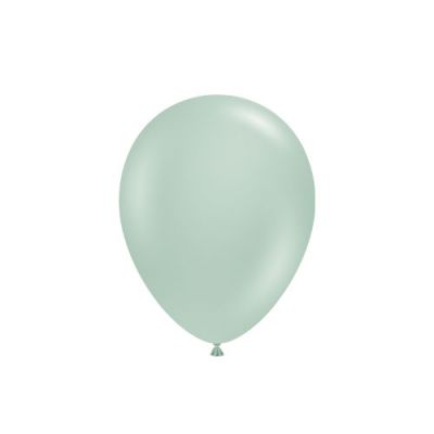 Empowermint 12cm Mini Balloon - Pack of 5