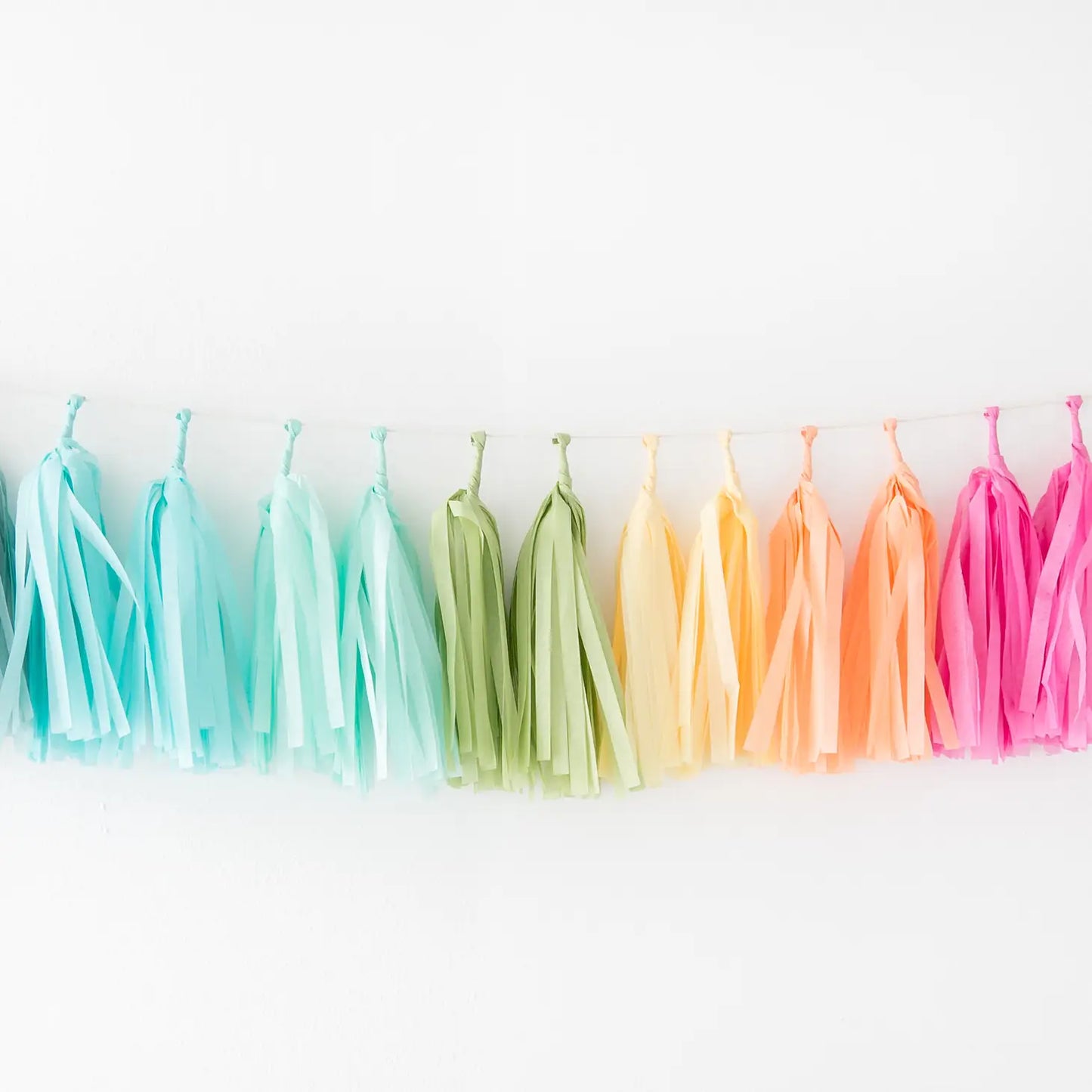 Tissue Paper Tassel Garland Kit - Rainbow