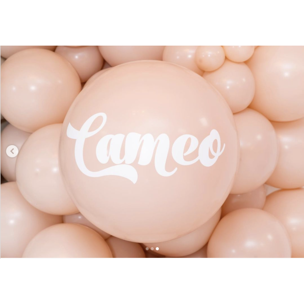 Cameo 12cm Mini Balloon - Pack of 5