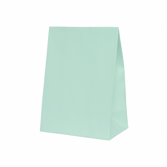 Mint Green Paper Party Bags - Pack of 10