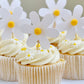 Daisy Cupcake Toppers with Pom Poms - Pack of 12