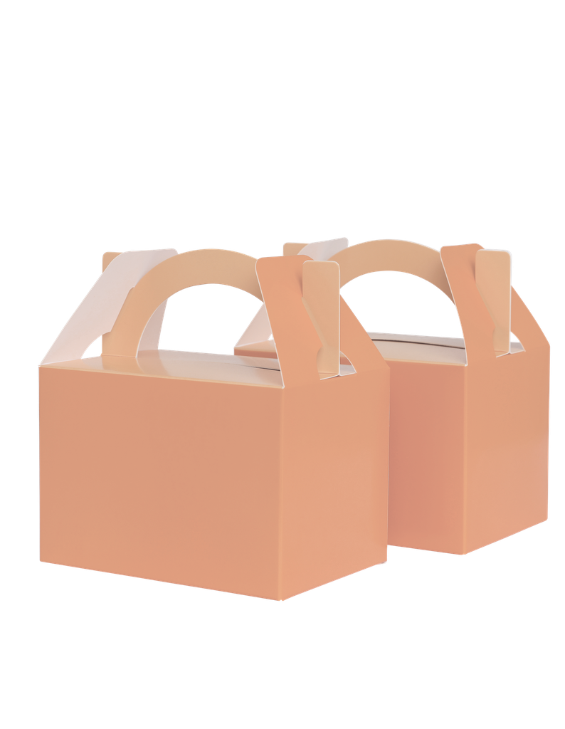 Little Lunch Favour Box Classic Pastel Peach - Pack of 10