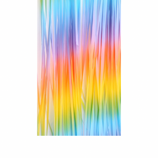 Pastel Rainbow Fringe Curtain Backdrop