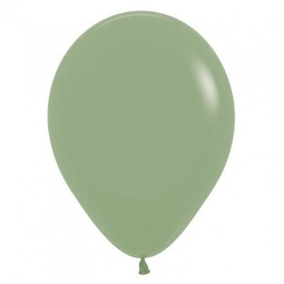 12cm-eucalyptus-balloon 