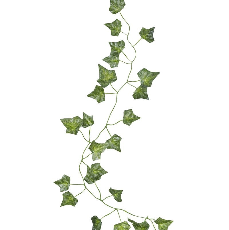 Decorative Vine Garlands 5 Pack