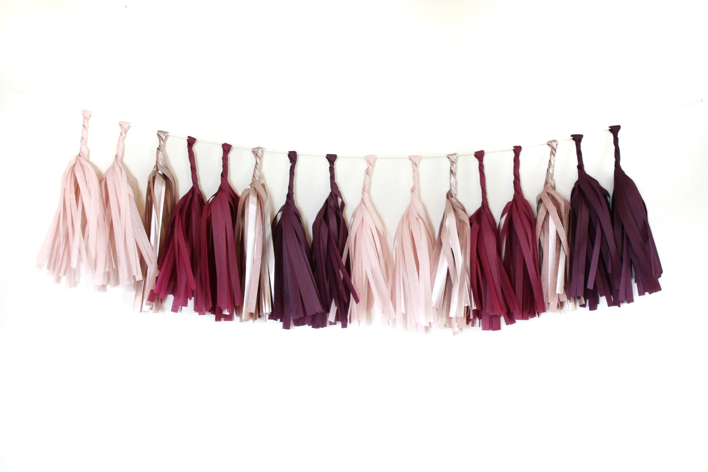 Tissue Paper Tassel Garland Kit - Sultry