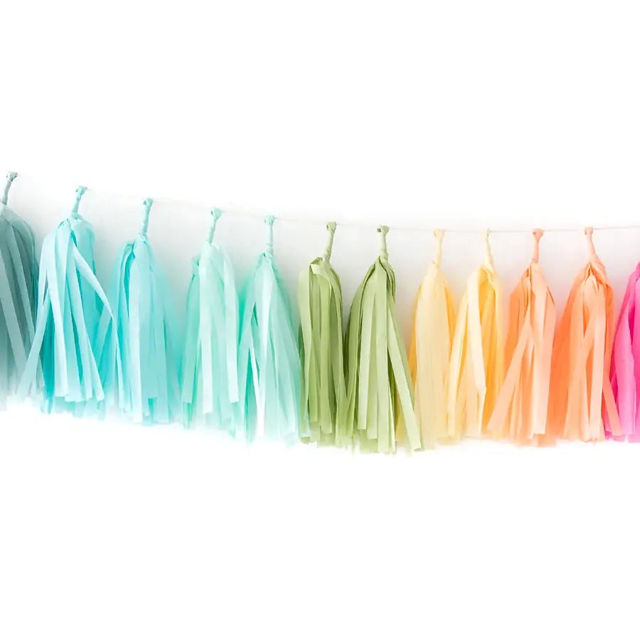 Tissue Paper Tassel Garland Kit - Rainbow