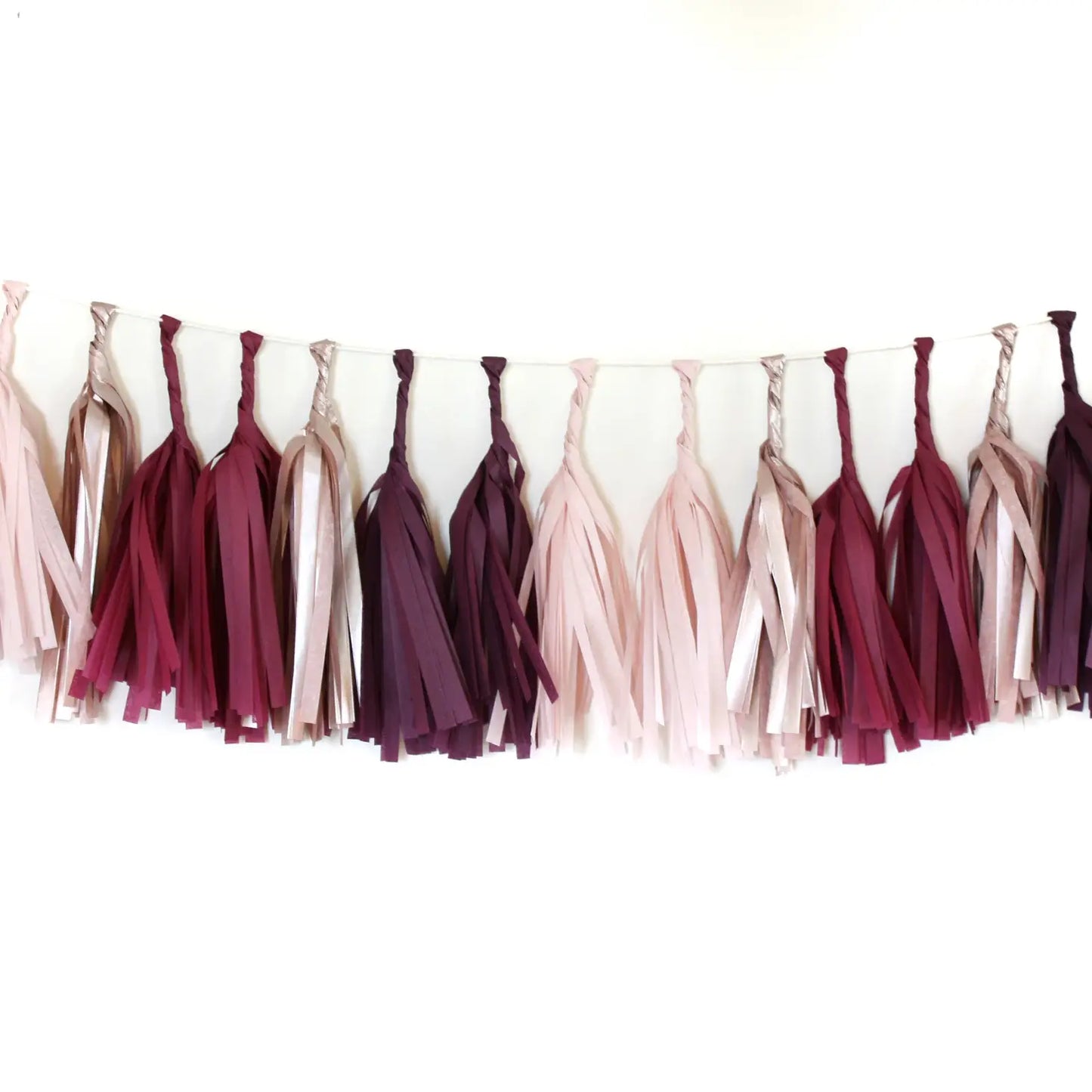 Tissue Paper Tassel Garland Kit - Sultry