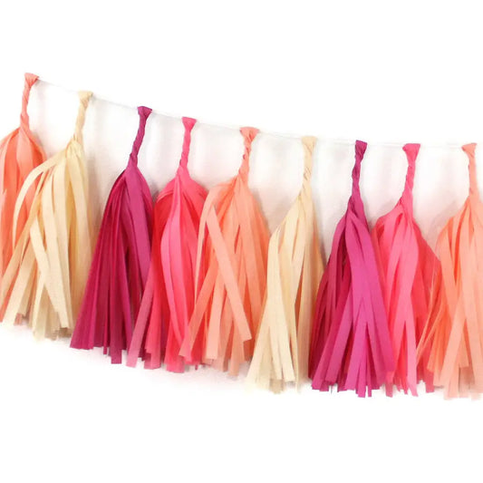 Tissue Paper Tassel Garland Kit - Macaron