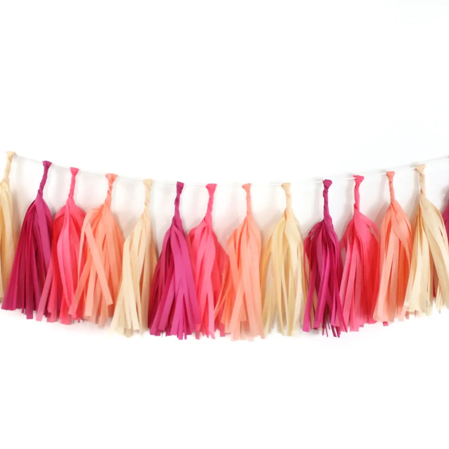 Tissue Paper Tassel Garland Kit - Macaron