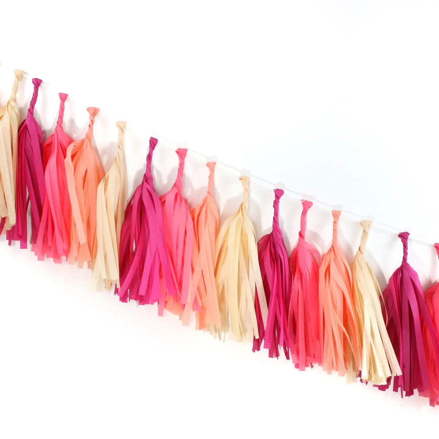 Tissue Paper Tassel Garland Kit - Macaron